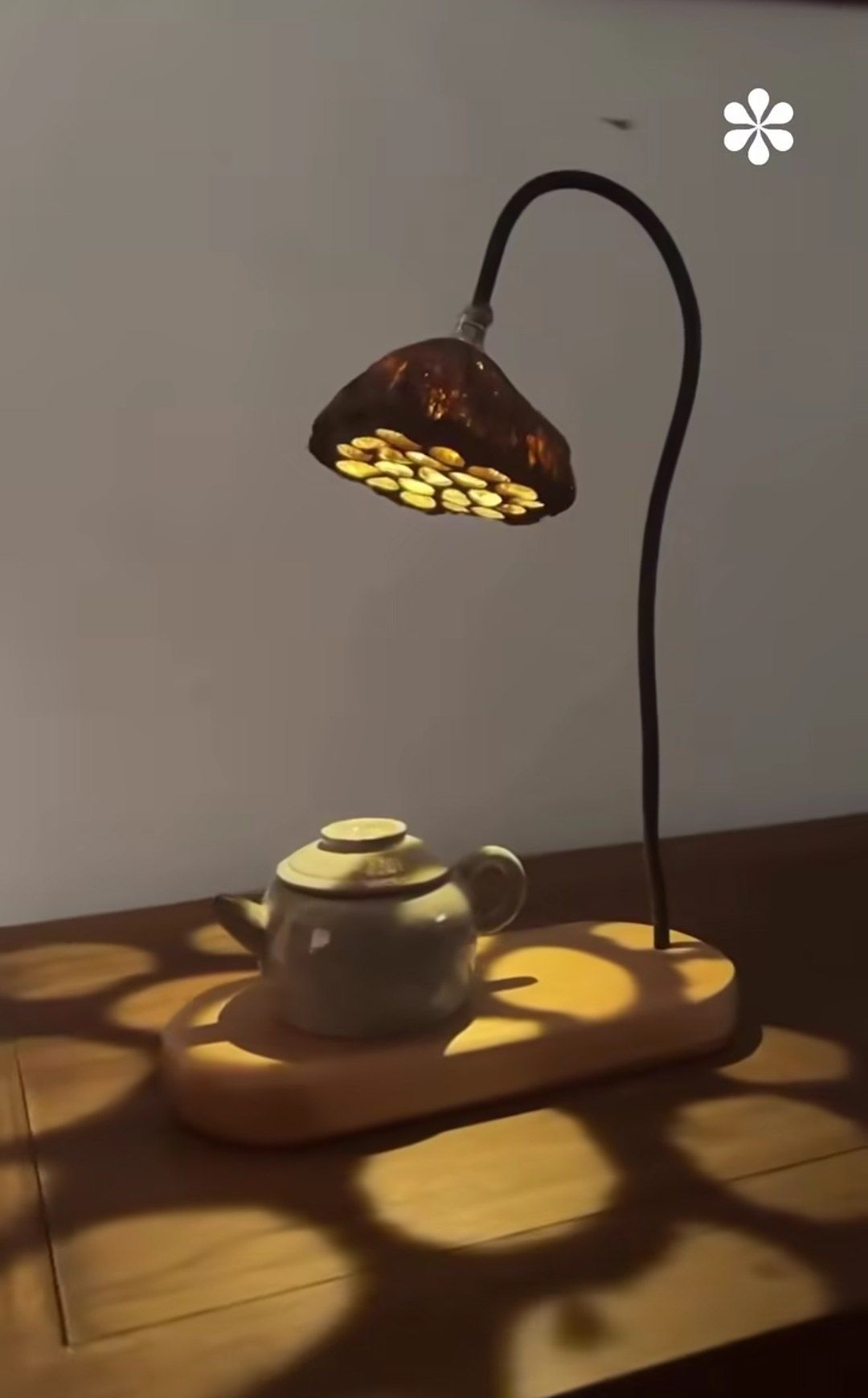جا دمنوش و چایی لوتوس