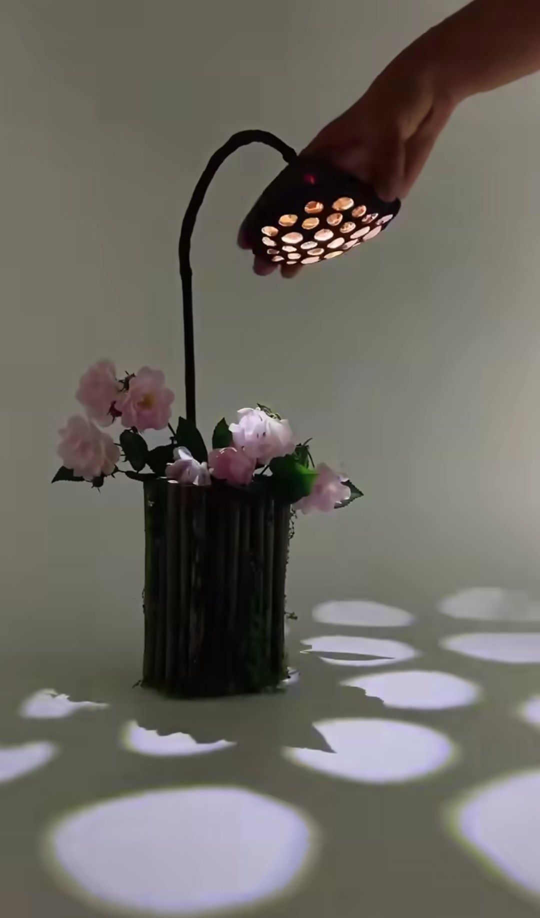ظرف گل طبیعی چراغ دار
